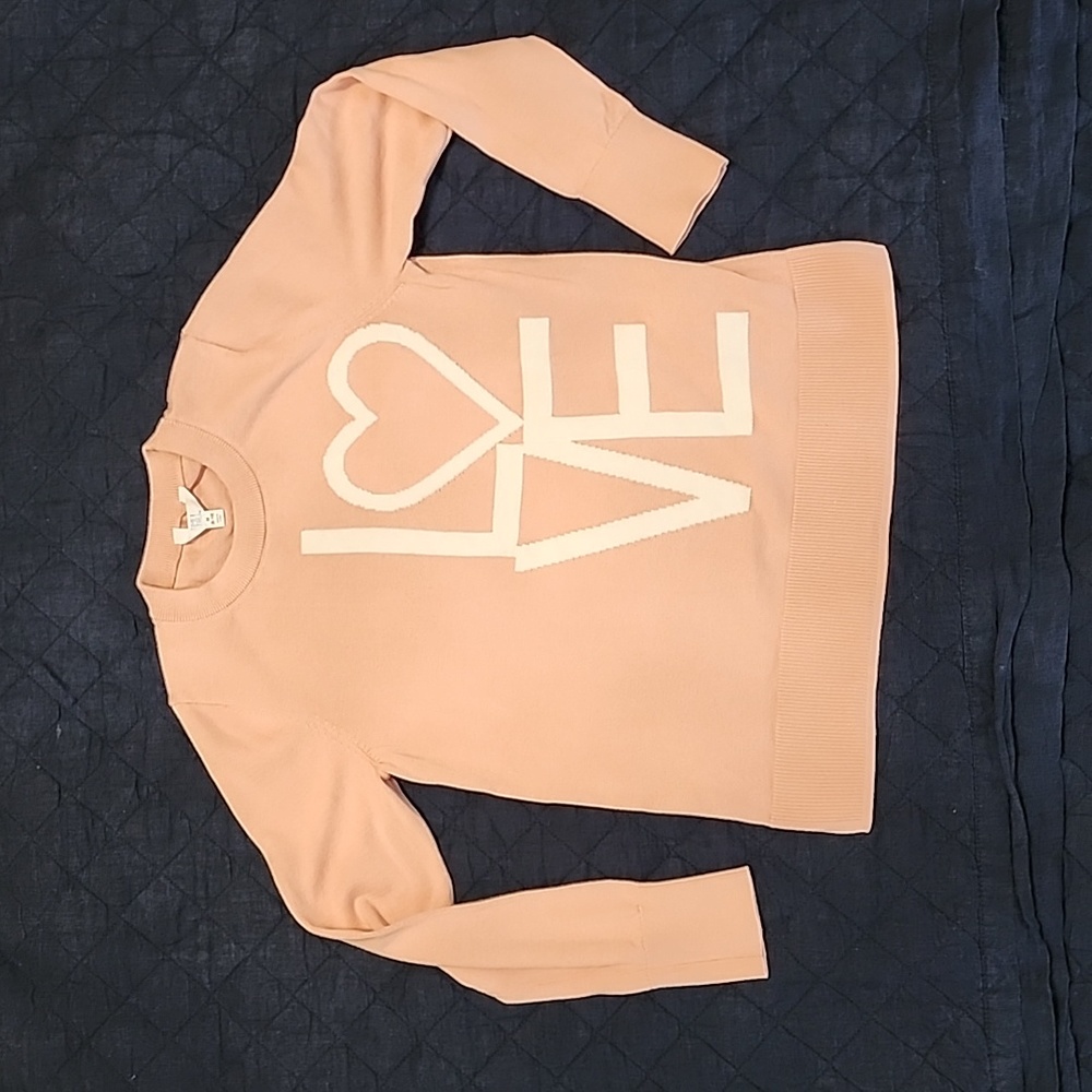 Women's M pink sweater Love Time and Tru size 8-10